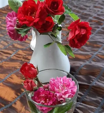 La Luna Nel Borgo Panzió